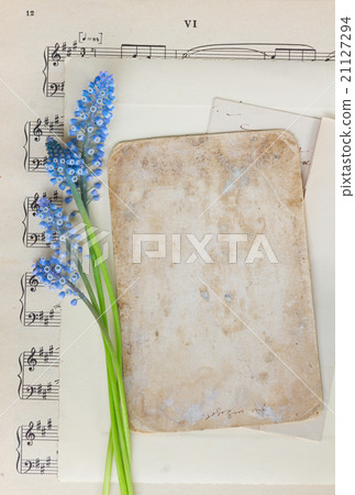 Muscari flowers and paper note Muscari flowers and paper note 21127294
