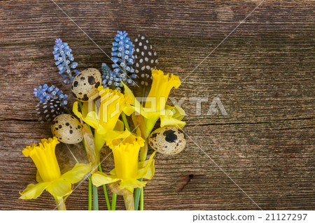 Muscari, daffodils and eggs Muscari, daffodils and eggs 21127297
