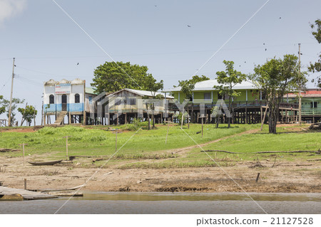 MANAUS, BRAZIL, OCTOBER 17 MANAUS, BRAZIL, OCTOBER 17 21127528