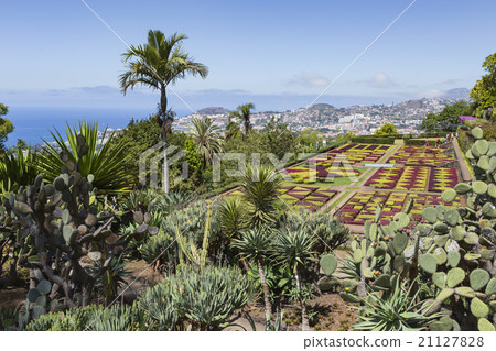 Famous Tropical Botanical Gardens Funchal, Madeira Famous Tropical Botanical Gardens Funchal, Madeira 21127828