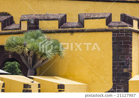 Funchal with the castle of Sao Tiago, Madeira  21127987