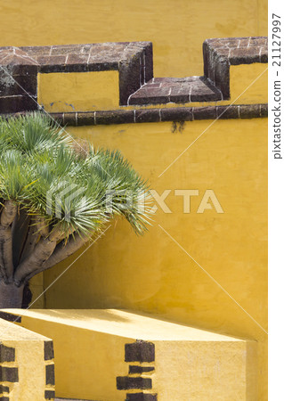 Funchal with the castle of Sao Tiago, Madeira  21127997