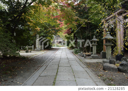 Kyoto Misono Munakata Shrine 21128285