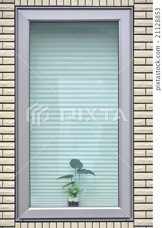 Window with plant Window with plant 21128853