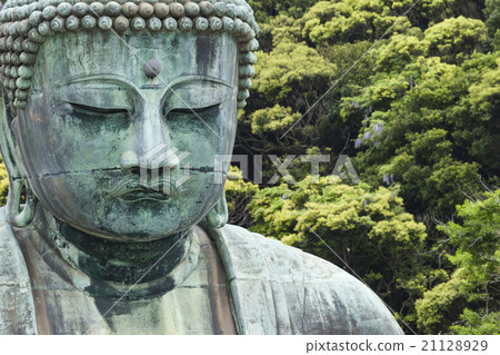 The Great Buddha on the grounds of Kotokuin Temple 21128929