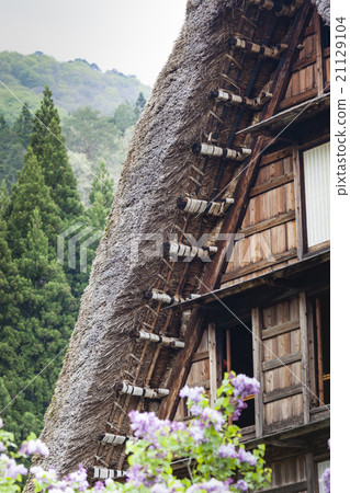 Traditional Japanese village Ogimachi Shirakawa 21129104