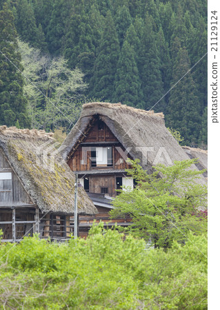 Traditional Japanese village Ogimachi Shirakawa 21129124