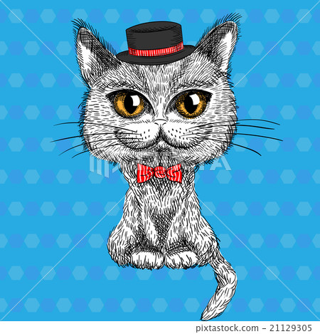 vector closeup portrait of the British cat hipster vector closeup portrait of the British cat hipster 21129305