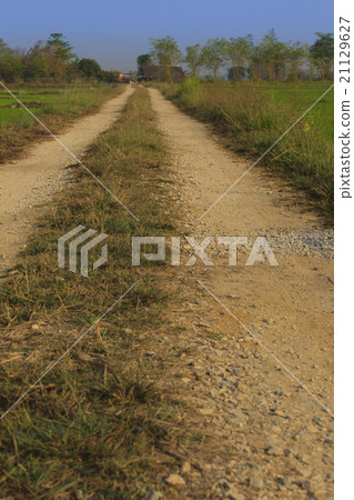Countryside road 21129627