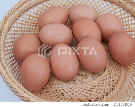 egg egg 21131009