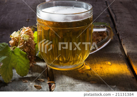 Mug of beer and branch hop Mug of beer and branch hop 21131384