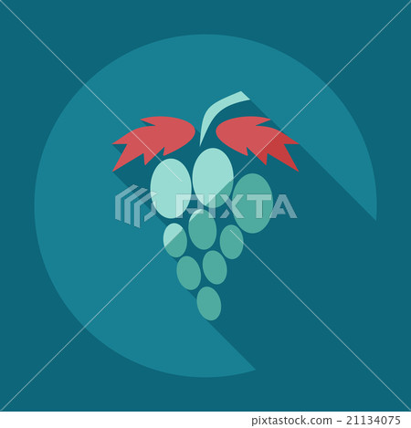 Flat modern design with shadow icons grapes Flat modern design with shadow icons grapes 21134075