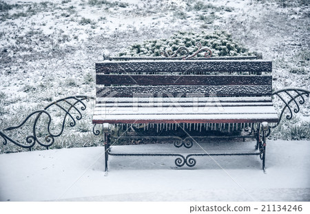 first snow of winter bench 21134246