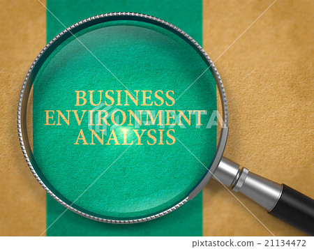 Business Environment Analysis through Magnifying 21134472