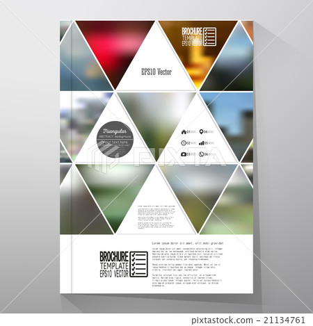 Business template for brochure, flyer or booklet Business template for brochure, flyer or booklet 21134761