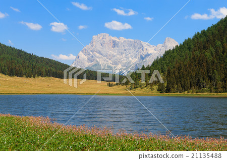 Beautiful alpine panorama 21135488