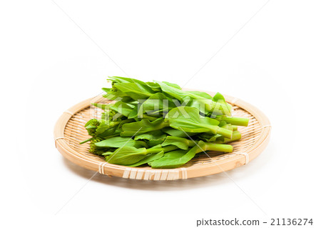在猴子中盛開的鮮花(Chinen強姦花藍貪婪的春天蔬菜) 在猴子中盛開的鮮花(Chinen強姦花藍貪婪的春天蔬菜) 21136274