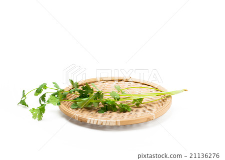 Coriander served with monkey (Pakuchi) 21136276