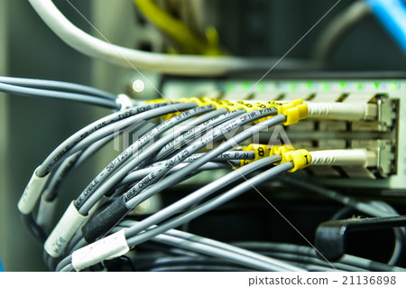 Network cable data 21136898