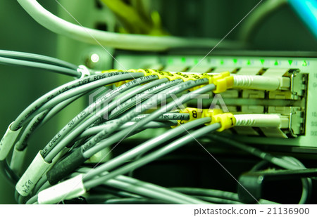 Network cable data 21136900