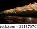 Illumination of seven colors that cherry blossoms and lights weave 21137070