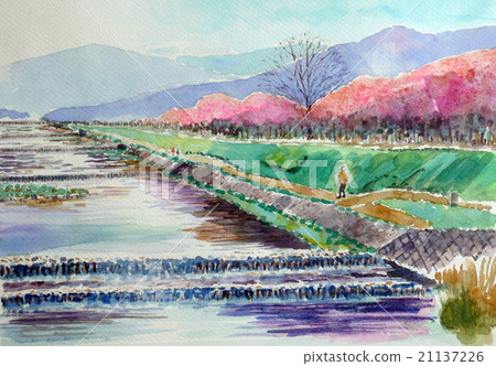 Kamogawa's Spring Landscape Sakura Kamogawa in Kyoto 21137226