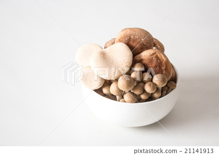 Three kinds of mushrooms 2 Three kinds of mushrooms 2 21141913