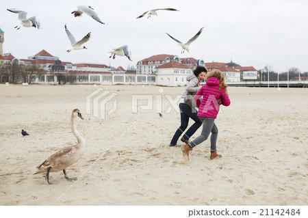Feeding the birds 21142484