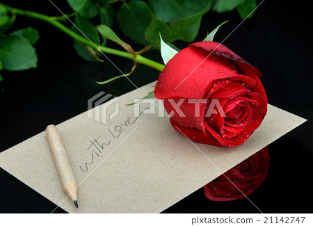 valentine single beautiful rose valentine single beautiful rose 21142747