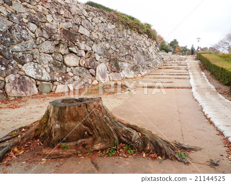 Bicense Matsuyama Castle 100 Great castle 21144525