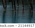 Blue pond 21144917