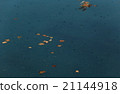 Blue pond 21144918