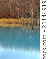 Blue pond 21144919