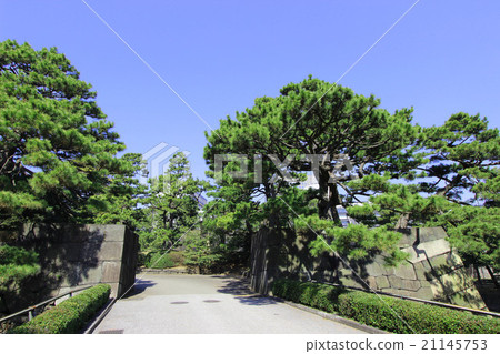 Edo castle Tenjin moat 21145753