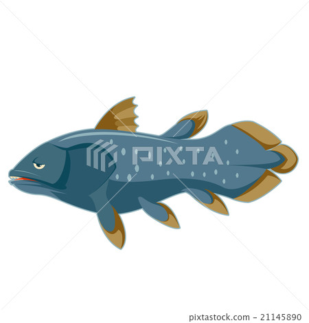 Cartoon blue Coelacanth 21145890