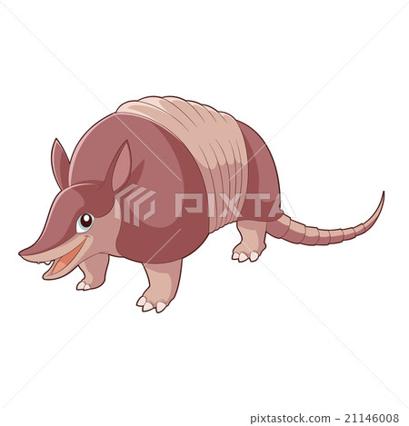 Cartoon happy Armadillo Cartoon happy Armadillo 21146008