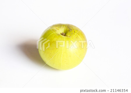 Phyllanthus emblica berry fruit 21146354