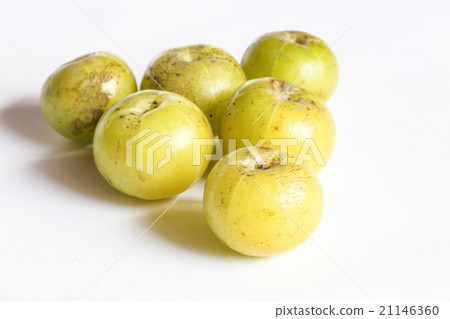 Phyllanthus emblica berry fruit Phyllanthus emblica berry fruit 21146360