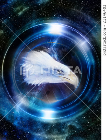 eagle in cosmic space and light circle. original eagle in cosmic space and light circle. original 21146403