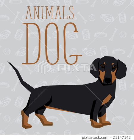 Vector Dogs Collection 21147142