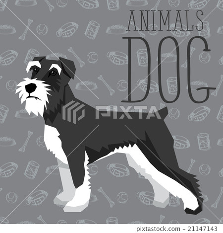 Vector Dogs Collection 21147143