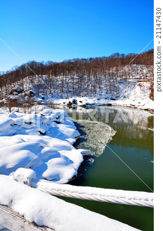 極端Kamikaze Kotan 21147430