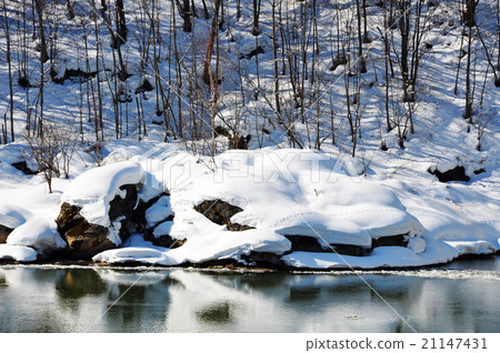 極端Kamikaze Kotan 極端Kamikaze Kotan 21147431