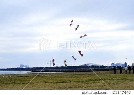 Kasai Seaside Park Sports kite Kasai Seaside Park Sports kite 21147442