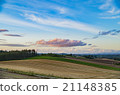 Field and sky of Biei 21148385