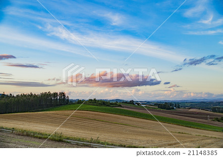 Field and sky of Biei 21148385