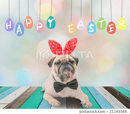 Happy Easter day 's post card with cute dog pug  21149366