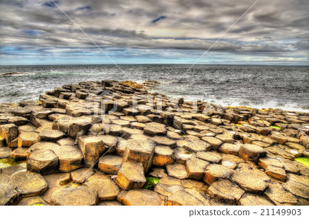 Basalt-tiled seashore of the Giant's Causeway Basalt-tiled seashore of the Giant's Causeway 21149903