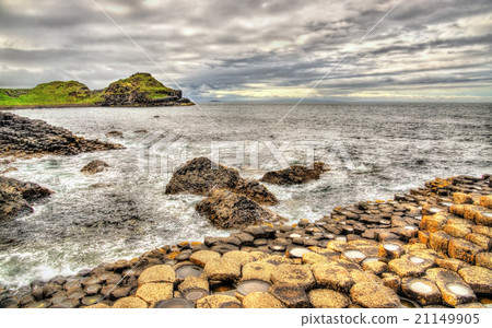 View of the Giant's Causeway, a UNESCO site 21149905