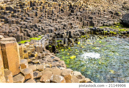 Basalt-tiled seashore of the Giant's Causeway 21149906
